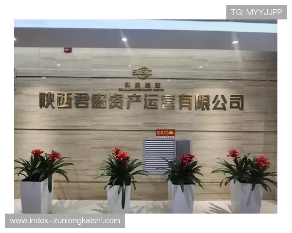 尊龙体育平台：合作伙伴与品牌联盟拓展策略全面介绍